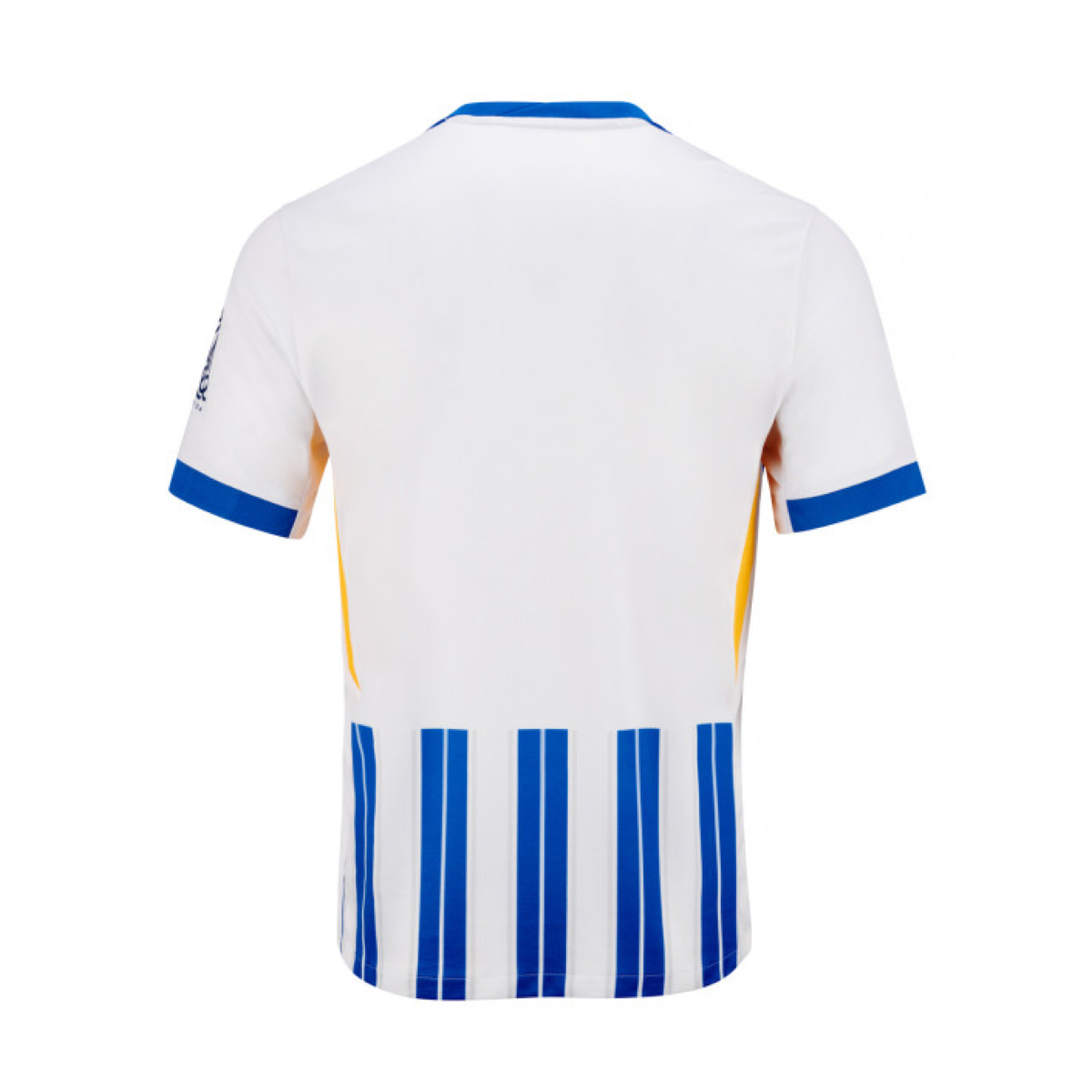 2024-25 Brighton & Hove Albion FC Home Kit
