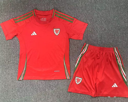 2024/25 Wales Home Youth National Teams